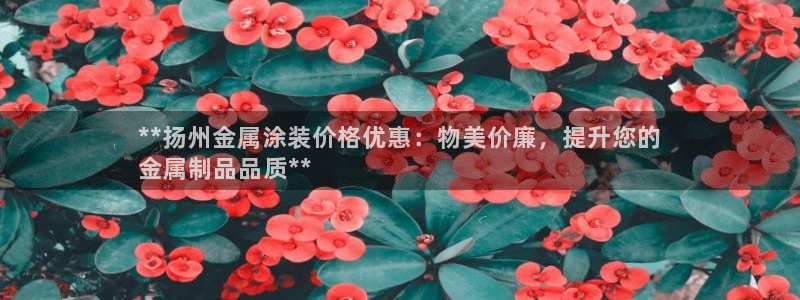 美高梅直营高