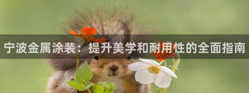 美高梅中国股吧