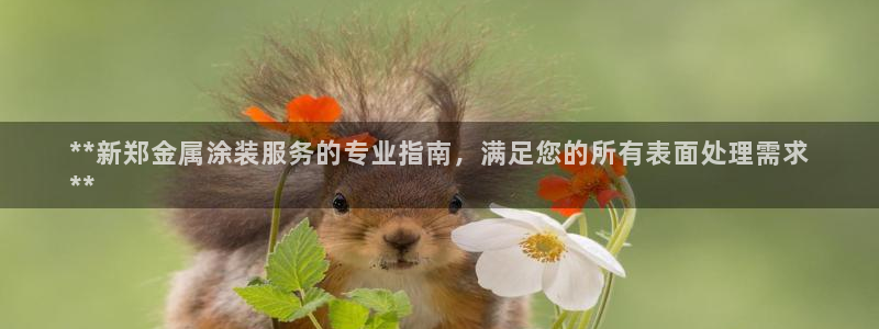 美高梅51平户型图