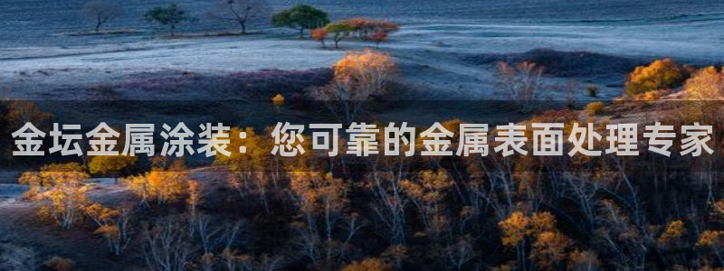 美狮美高梅酒店飞鱼表演时间
