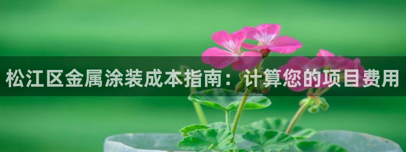 美高梅游戏官网app可以玩吗