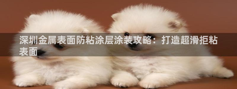美狮美高梅酒店会员