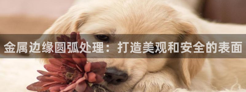 美高梅酒店年卡