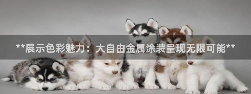美狮美高梅酒店五行属什么