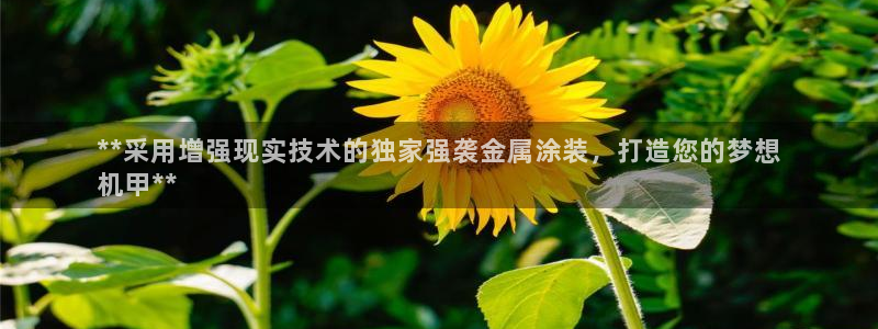 美高梅公司旗下有哪些公司