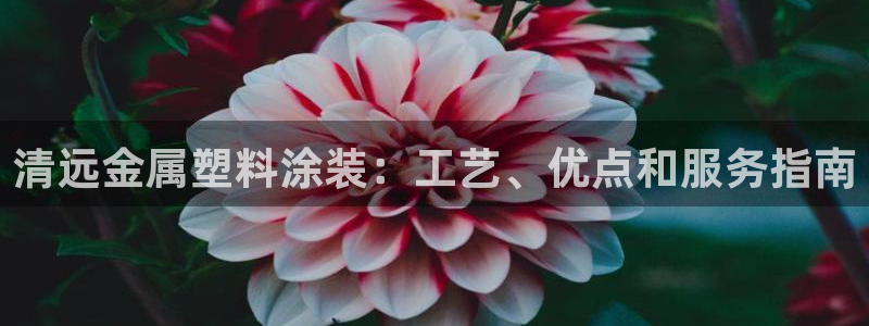 美高梅是谁的酒店