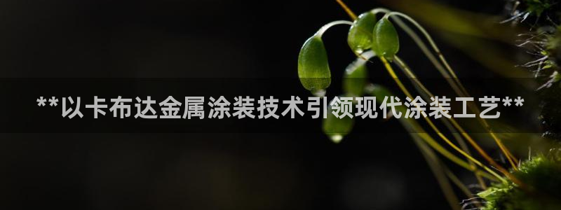 美高梅酒店哪个国家