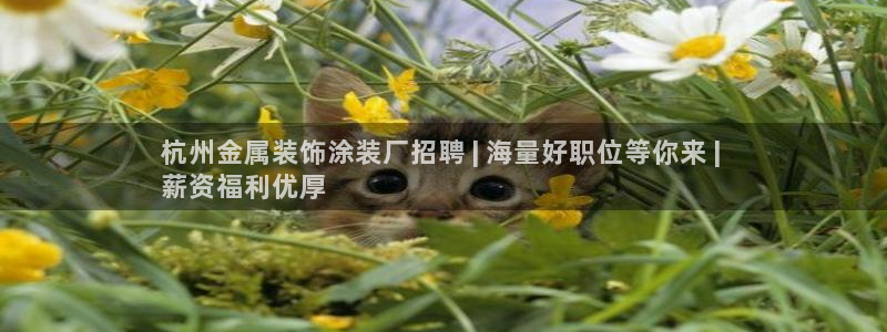 美高梅 股票