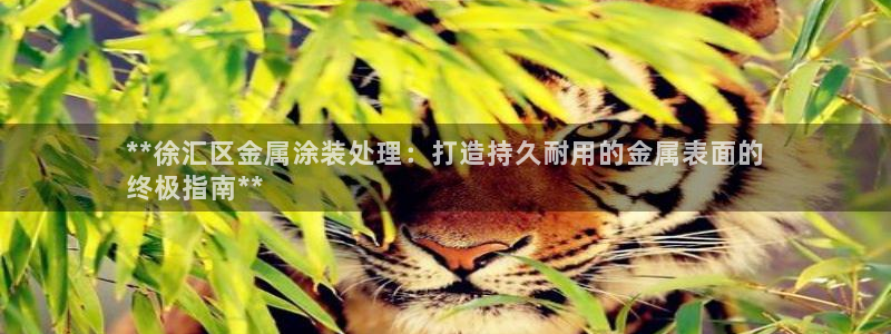 美高梅金狮卡值多少钱