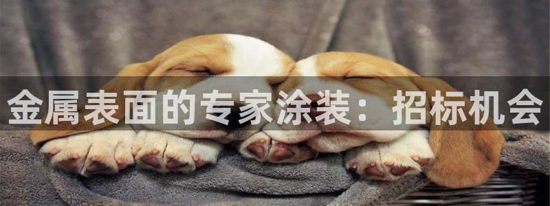 8ggg美高梅游戏官网