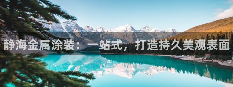 美高梅标志狮子头