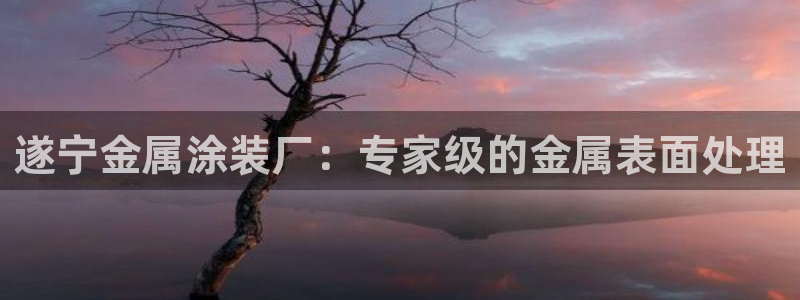 美高梅金狮贵宾会宾至如归显