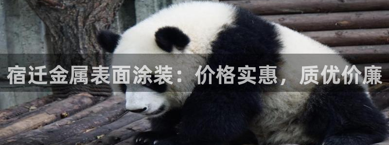 美高梅酒店老板是谁