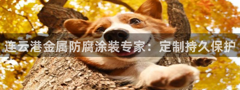美高梅酒店前台
