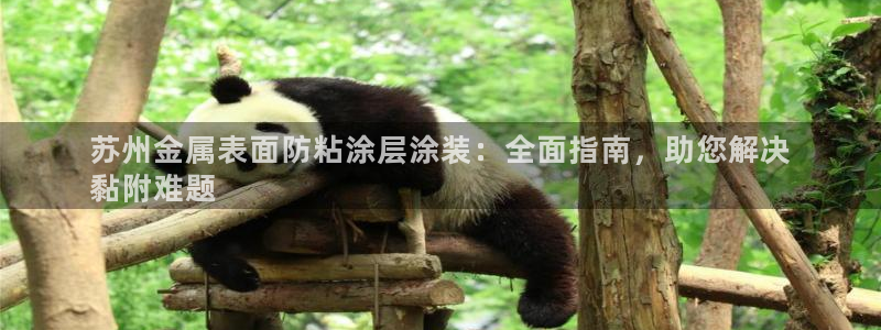 美高梅现