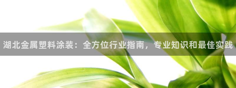 美高梅4688集团am