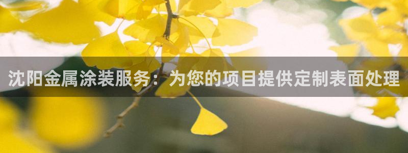 美狮美高梅酒店开业