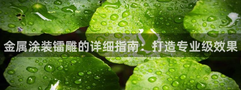 美高梅旗下直营平台