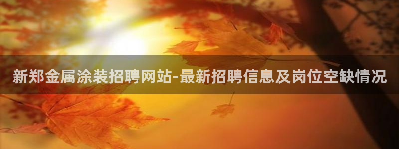 美高梅卡颜色等级