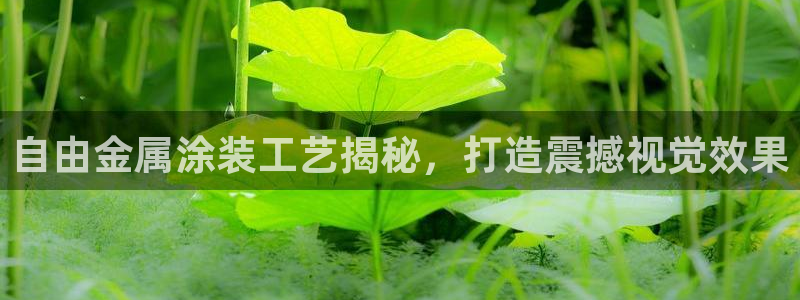 美高梅是哪个集团