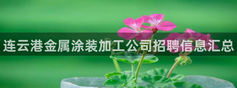 美高梅何超琼英文