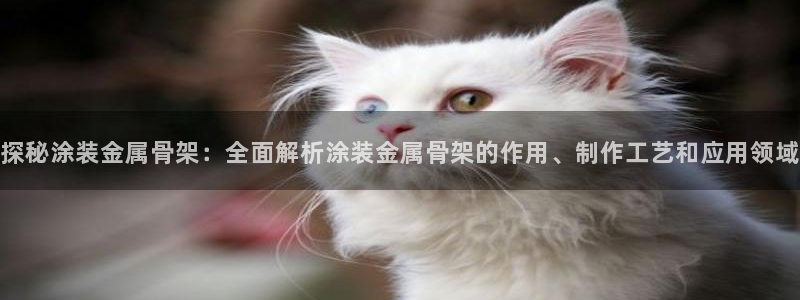 美高梅酒店一晚多少钱