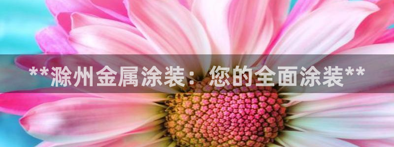 美高梅别墅户型图