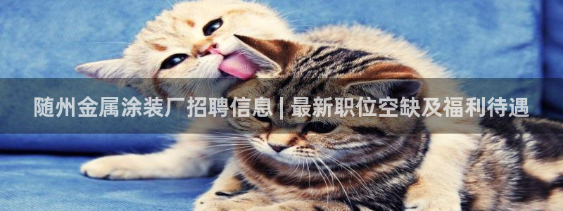 美高梅国际酒店集团资产