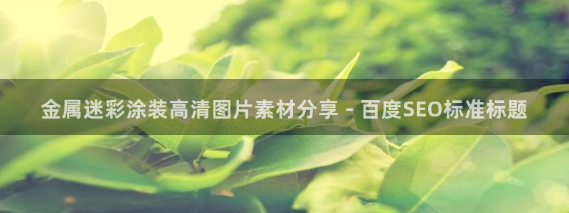 美高梅酒店投资多少钱