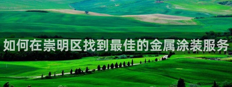 美狮美高梅酒店开业时间