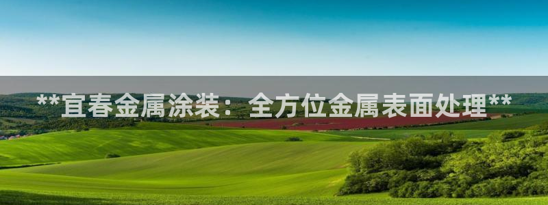 美高梅老板何超琼