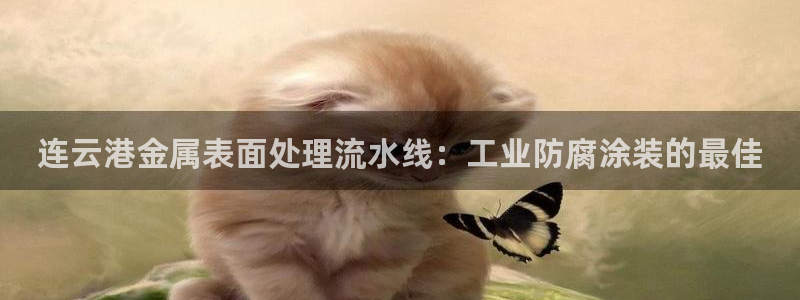 美高梅免费巴士接送时间
