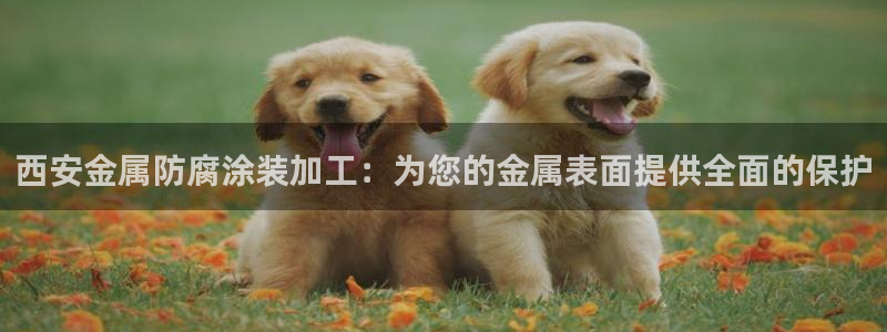 美高梅 股票