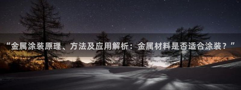 美高梅官网版是正品吗