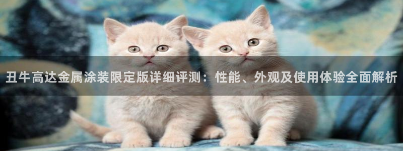 美高梅现场照片