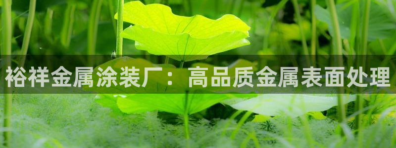 美高梅空中海洋秀到底在哪个地方
