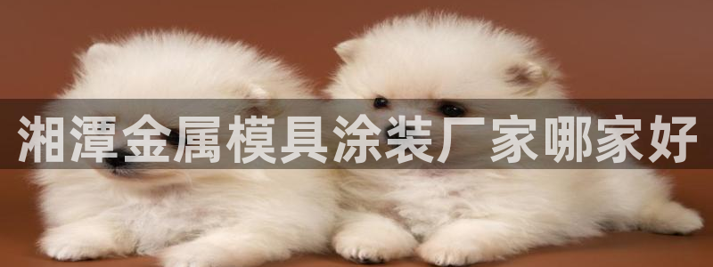 美高梅官方版app充值方法