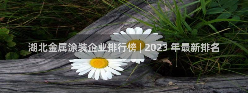 美高梅会员卡会降级吗