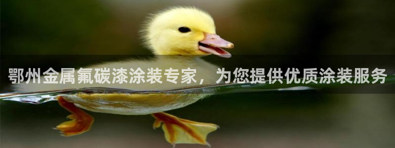 美高梅全球限量100张