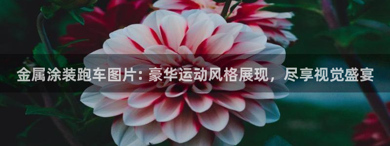美狮美高梅酒店简介淳餐厅