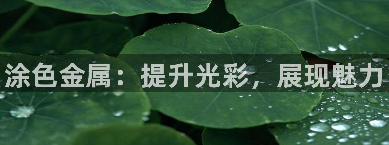 何超琼投资美高梅