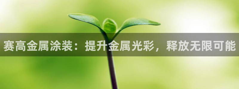 美高梅大酒店老板是谁