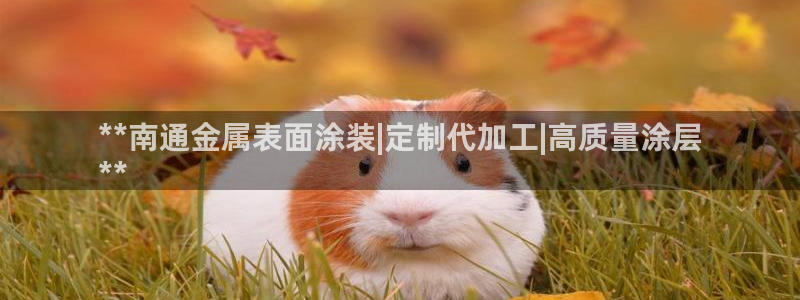 美狮美高梅酒店名字由来