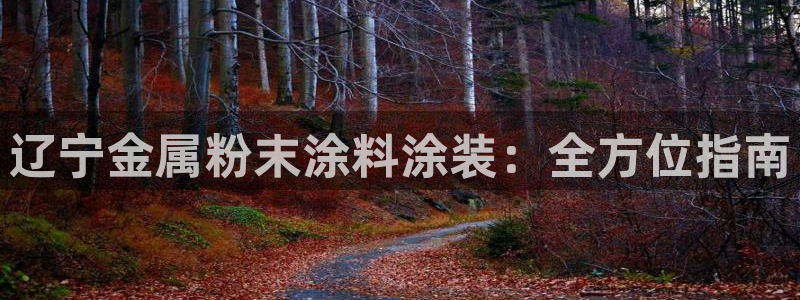 何超琼美高梅持股