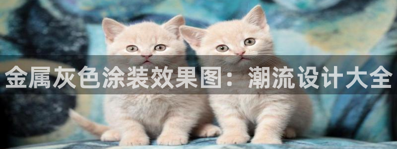 美高梅尊贵卡值多少钱