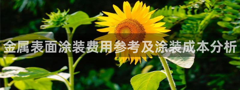 美高梅官网
