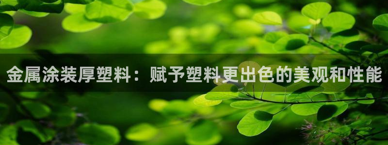 美狮美高梅酒店是几星