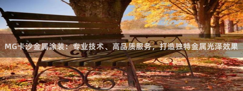 美狮美高梅酒店谁开的