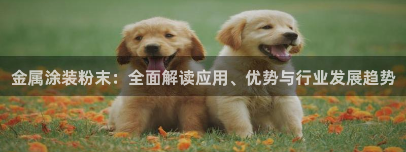美高梅的老板是谁?