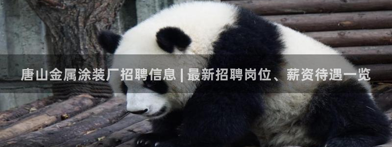 美高梅直营游戏有哪些